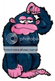 gorilla.jpg