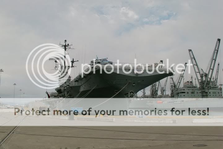 Hornet_view.jpg