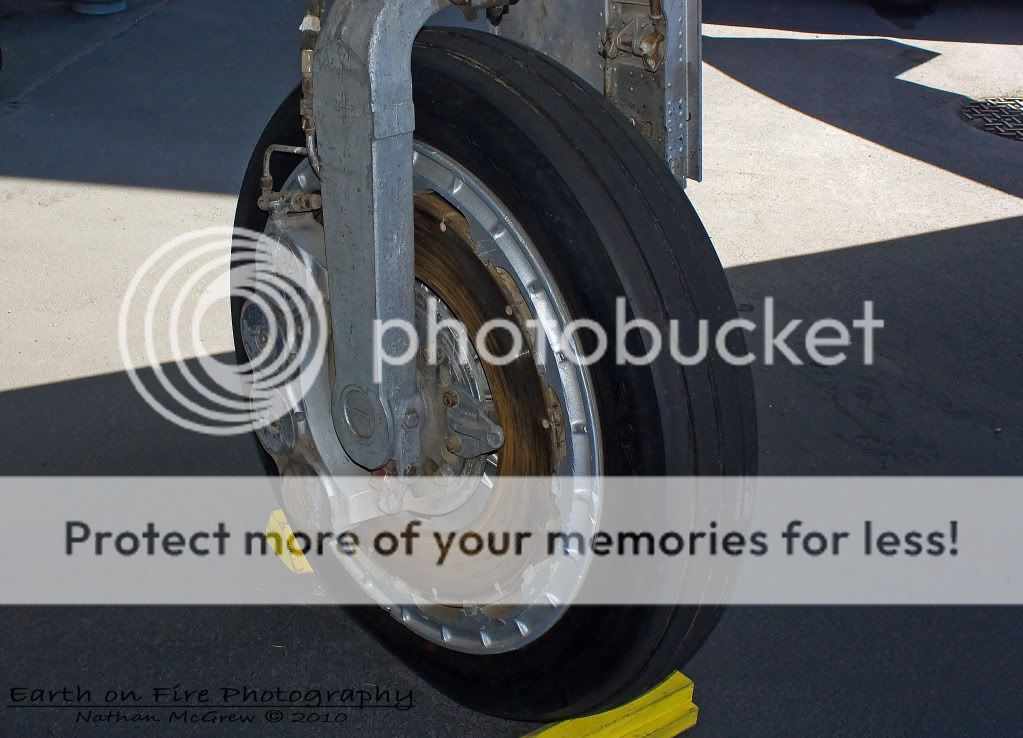 IMAGE: http://i1046.photobucket.com/albums/b466/EarthonFirePhotography/Bellingham%20Mustang%20and%20Mustang%20Show/IMG_4204.jpg