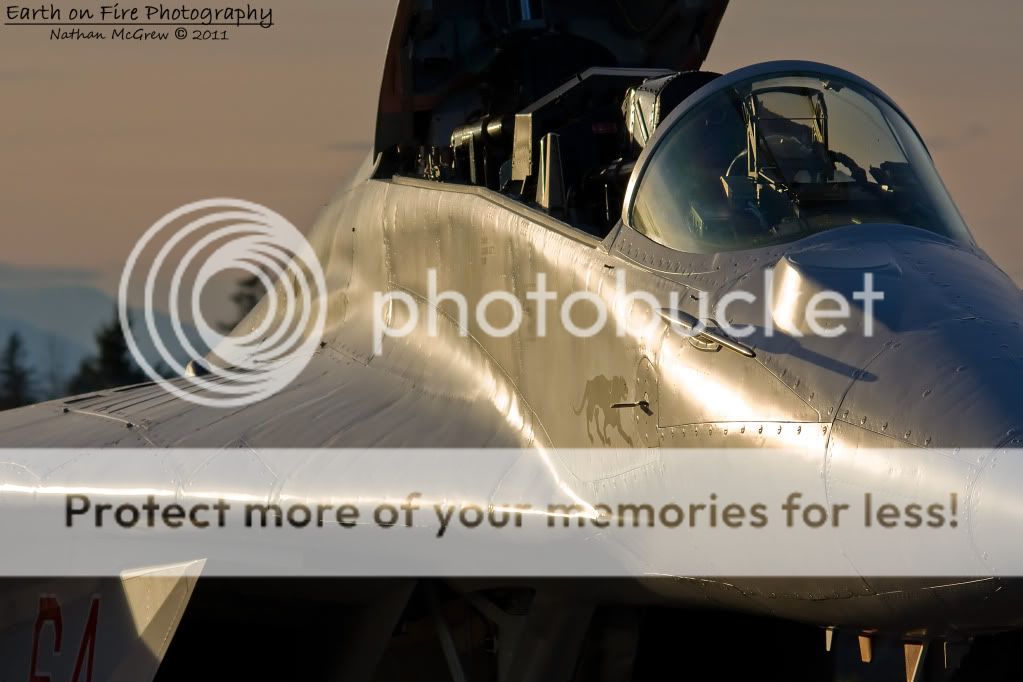 IMAGE: http://i1046.photobucket.com/albums/b466/EarthonFirePhotography/Date%20With%20a%20Russian/IMG_8797.jpg