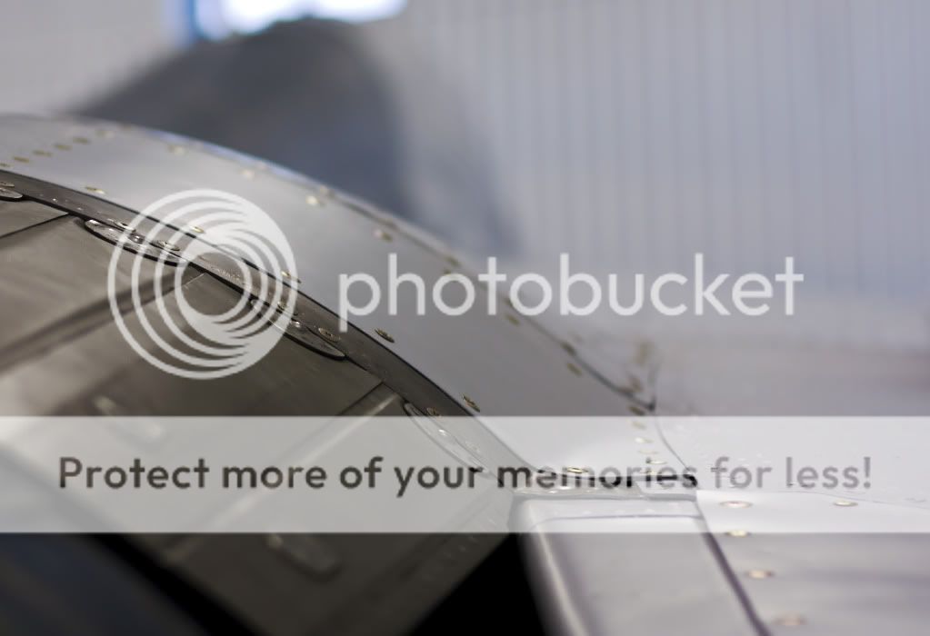 IMAGE: http://i1046.photobucket.com/albums/b466/EarthonFirePhotography/HFF/IMG_7884.jpg