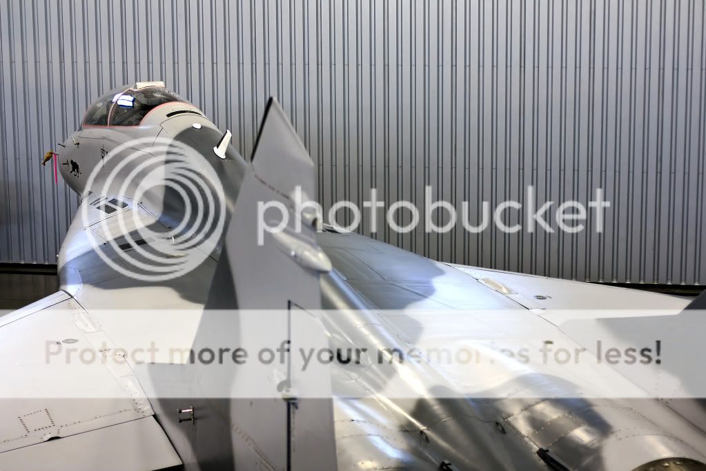 IMAGE: http://i1046.photobucket.com/albums/b466/EarthonFirePhotography/HFF/IMG_7893.jpg