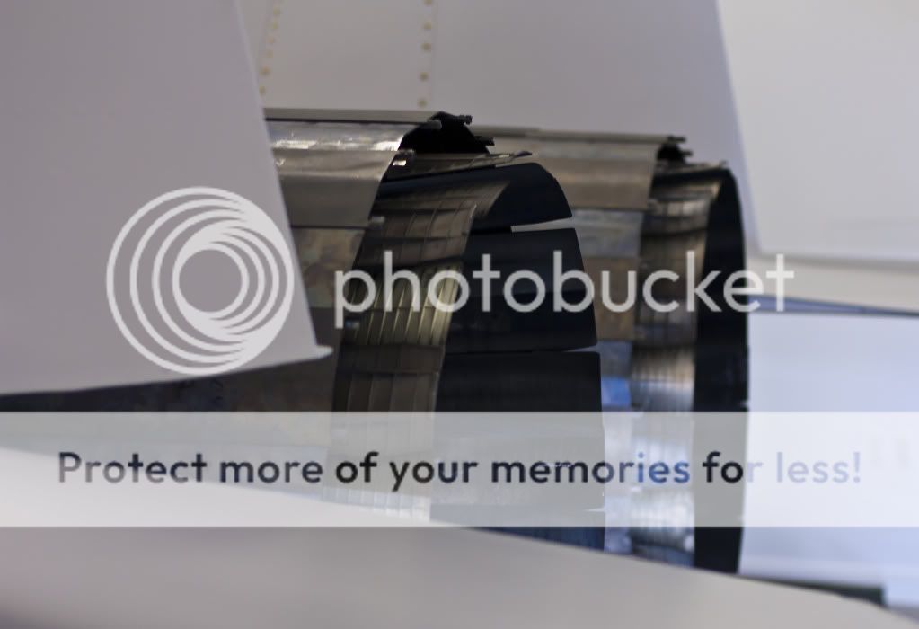 IMAGE: http://i1046.photobucket.com/albums/b466/EarthonFirePhotography/HFF/IMG_7896.jpg