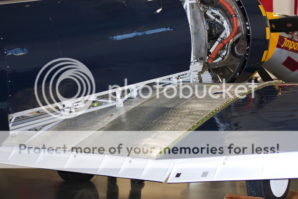 IMAGE: http://i1046.photobucket.com/albums/b466/EarthonFirePhotography/HFF/IMG_7902.jpg