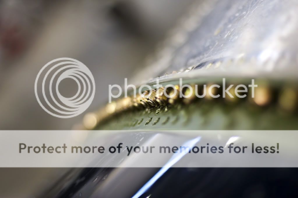 IMAGE: http://i1046.photobucket.com/albums/b466/EarthonFirePhotography/HFF/IMG_7903.jpg