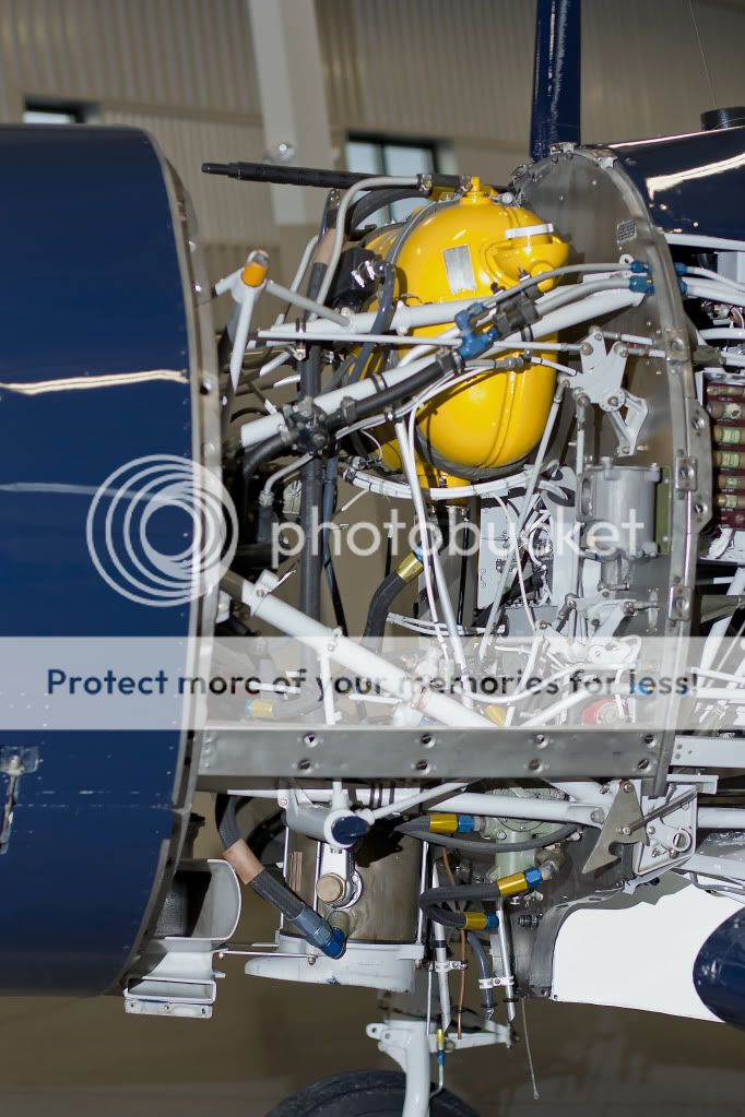 IMAGE: http://i1046.photobucket.com/albums/b466/EarthonFirePhotography/HFF/IMG_7905.jpg