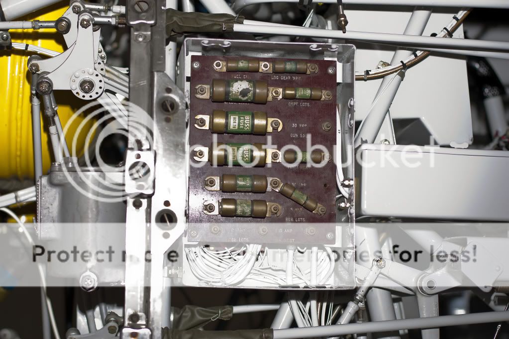 IMAGE: http://i1046.photobucket.com/albums/b466/EarthonFirePhotography/HFF/IMG_7908.jpg