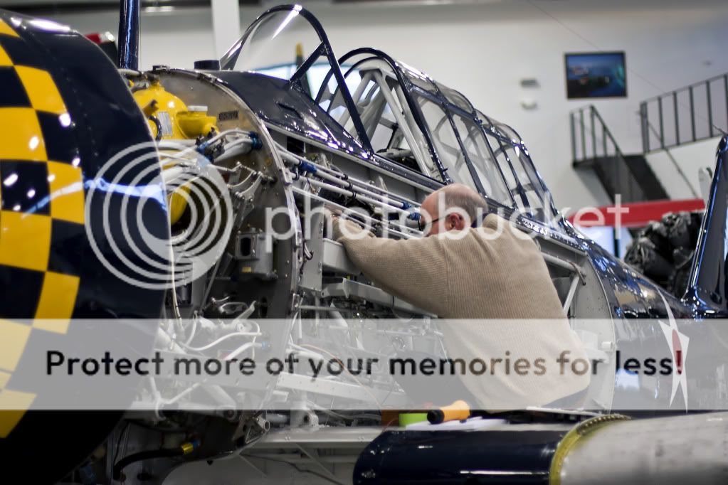 IMAGE: http://i1046.photobucket.com/albums/b466/EarthonFirePhotography/HFF/IMG_7913.jpg