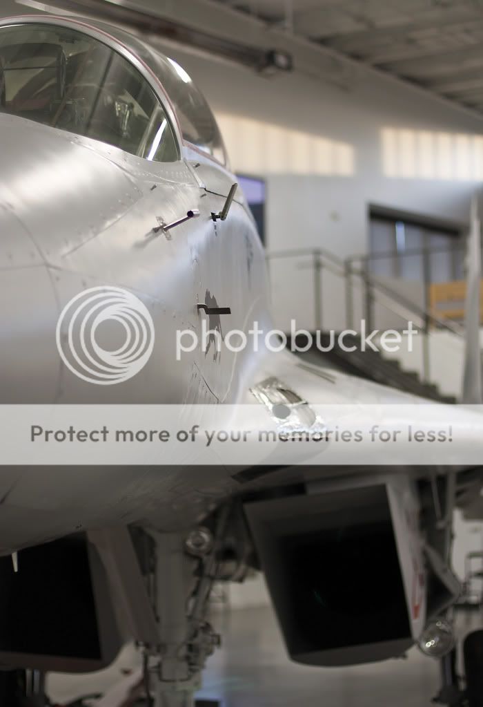 IMAGE: http://i1046.photobucket.com/albums/b466/EarthonFirePhotography/HFF/IMG_7949.jpg