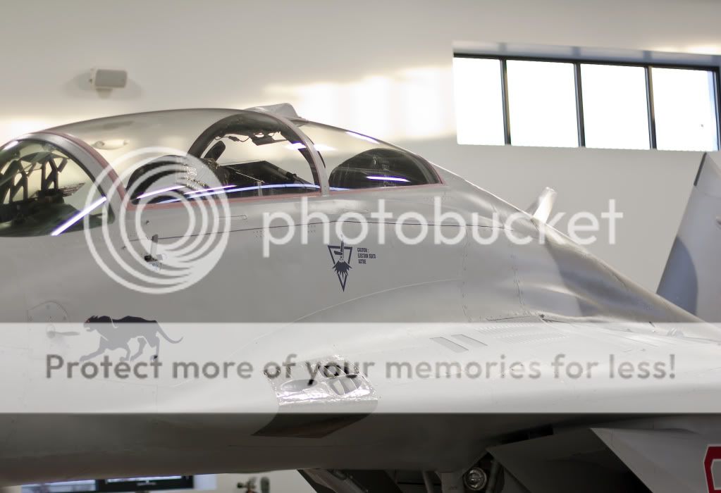 IMAGE: http://i1046.photobucket.com/albums/b466/EarthonFirePhotography/HFF/IMG_7960.jpg