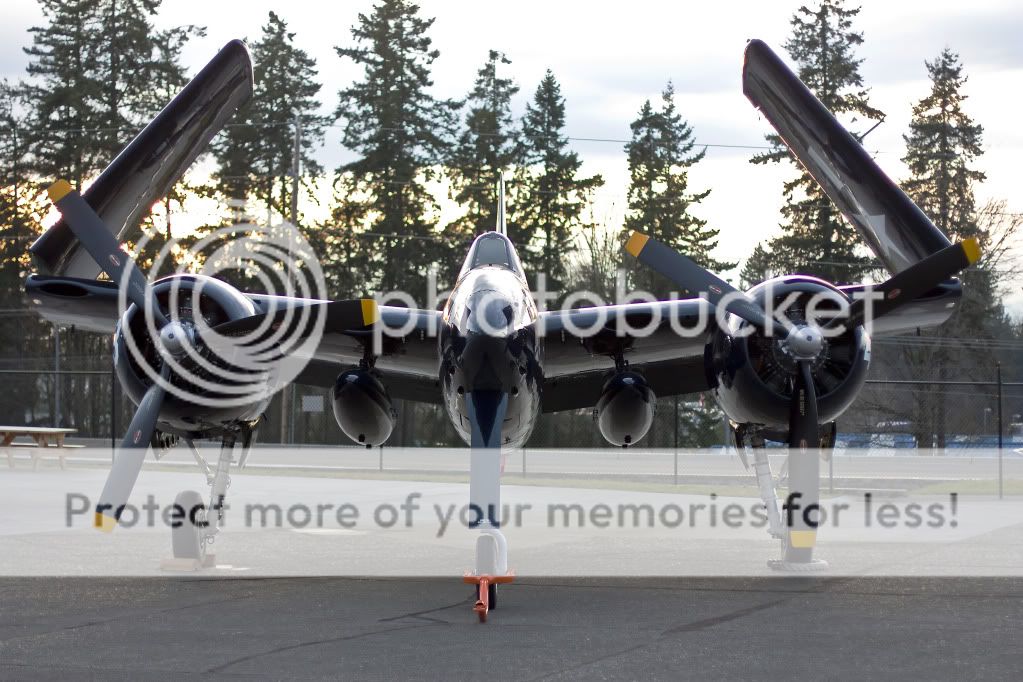 IMAGE: http://i1046.photobucket.com/albums/b466/EarthonFirePhotography/HFF/IMG_7991.jpg