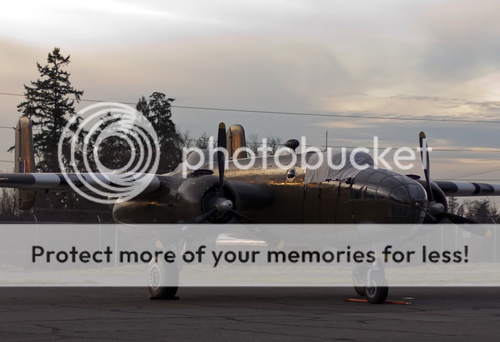 IMAGE: http://i1046.photobucket.com/albums/b466/EarthonFirePhotography/HFF/IMG_7996.jpg