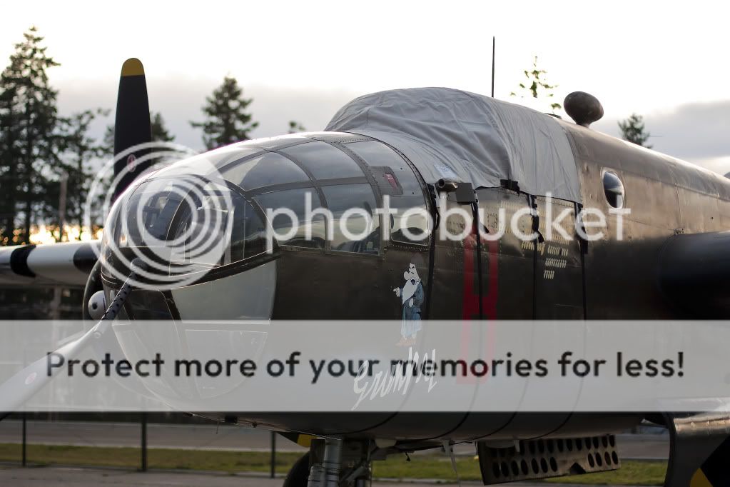 IMAGE: http://i1046.photobucket.com/albums/b466/EarthonFirePhotography/HFF/IMG_8002.jpg