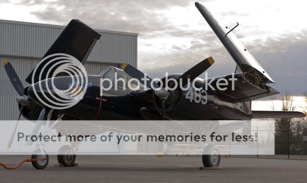 IMAGE: http://i1046.photobucket.com/albums/b466/EarthonFirePhotography/HFF/IMG_8011b.jpg