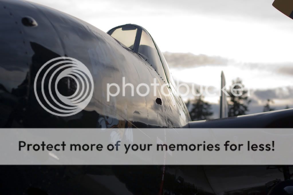 IMAGE: http://i1046.photobucket.com/albums/b466/EarthonFirePhotography/HFF/IMG_8014.jpg