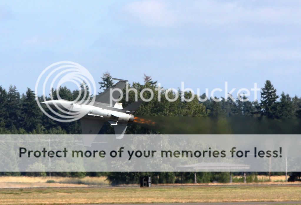 IMAGE: http://i1046.photobucket.com/albums/b466/EarthonFirePhotography/New%20edits/IMG_2984.jpg