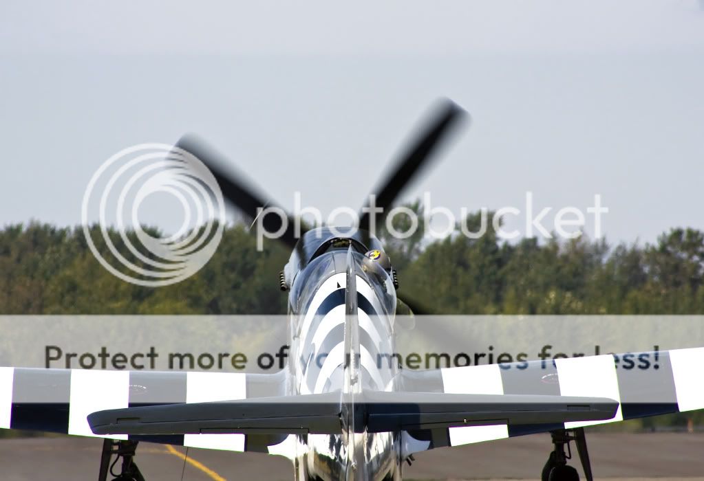 IMAGE: http://i1046.photobucket.com/albums/b466/EarthonFirePhotography/New%20edits/IMG_4135.jpg